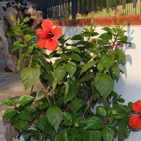 La Casa Di Ely Appartement Agropoli Buitenkant foto